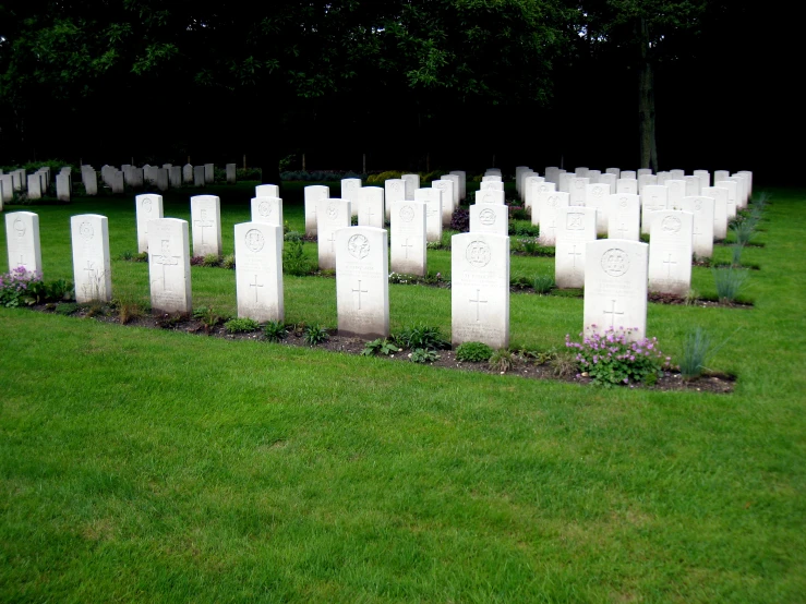 a bunch of headstones on some grass in a park