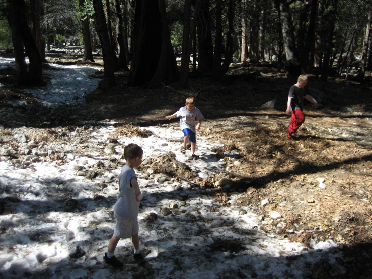 three boys playing in the snow next to trees