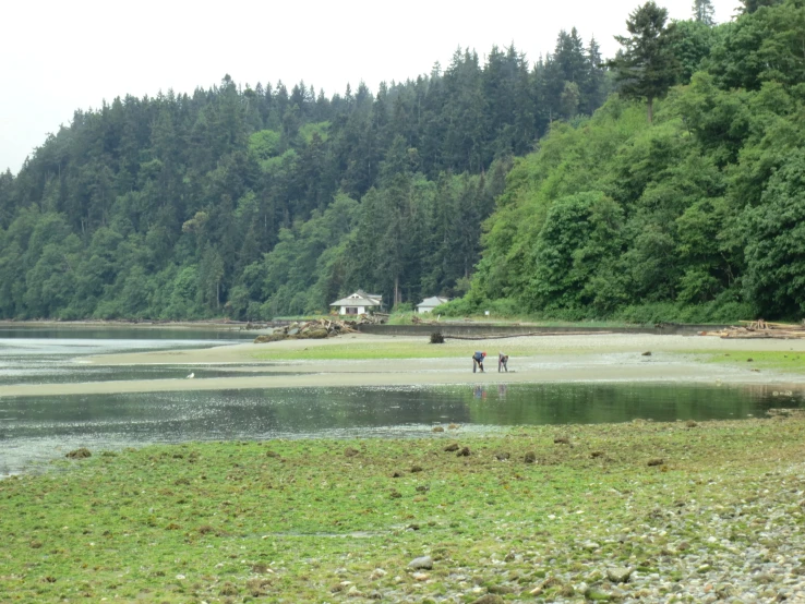 two people standing in a field by the water