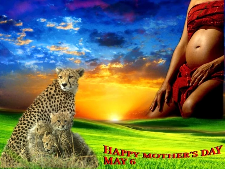 a young pregnant woman is next to a couple of cheetah
