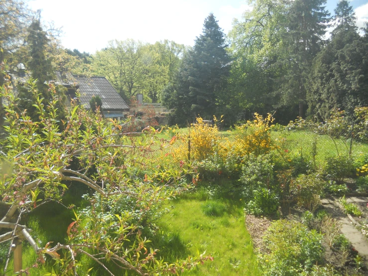 the garden has many flowers and plants along the lawn