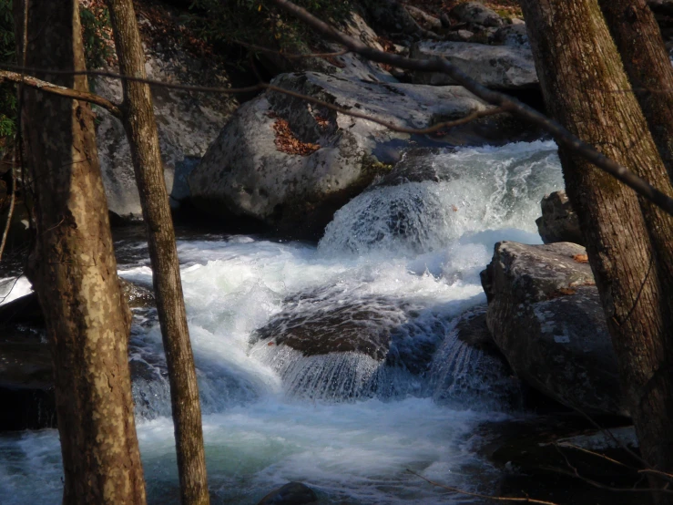 the rushing is white from a waterfall between trees