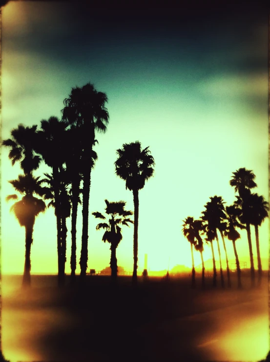 the sun is setting behind several palm trees