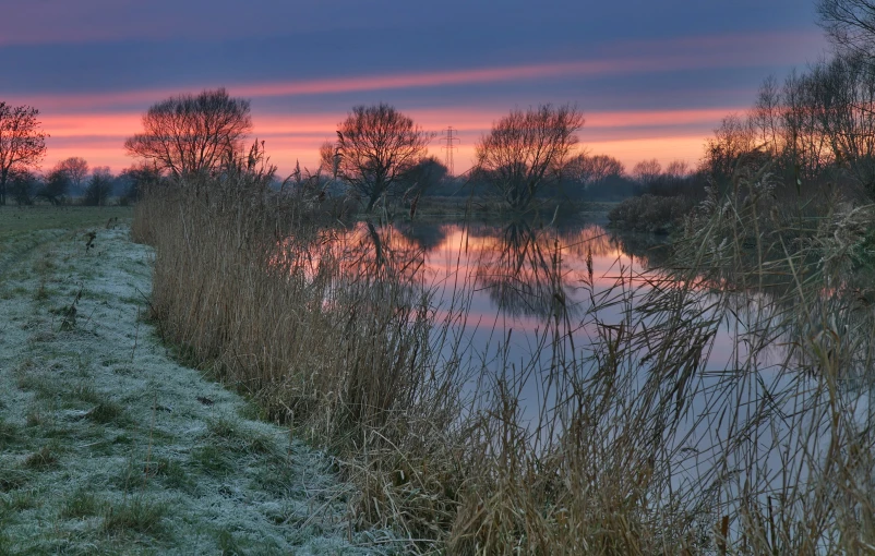 a river runs next to a field with dead trees