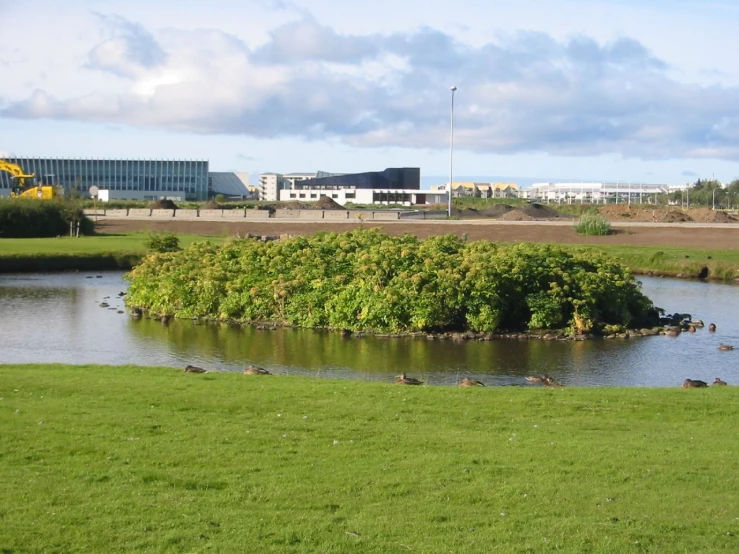 the lake is surrounded by birds and a building