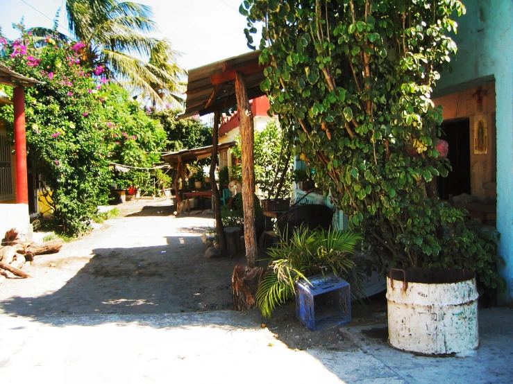 an outdoor area with tables and plants on the outside