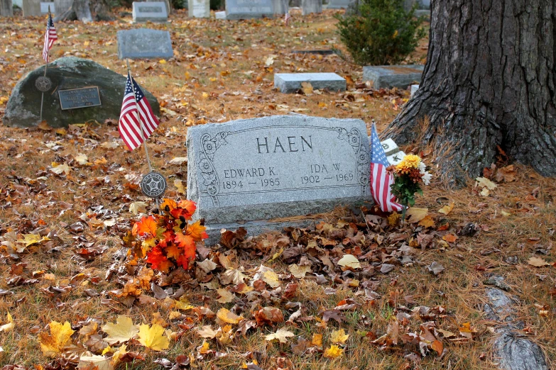 a grave sits in the middle of leaves and graves