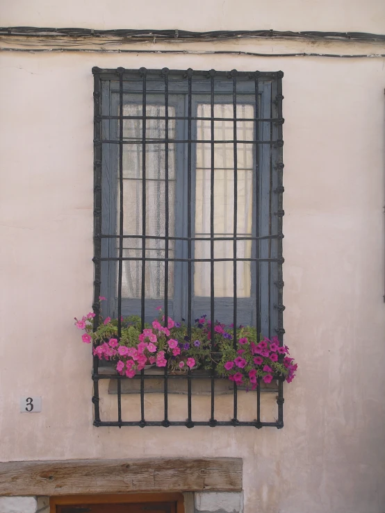 a window with a grid iron iron bars surrounding it