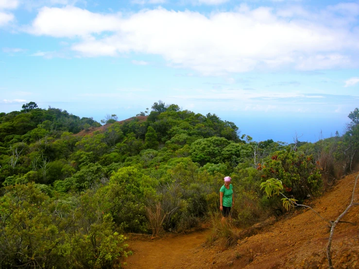 the person is standing on a path over looking the land