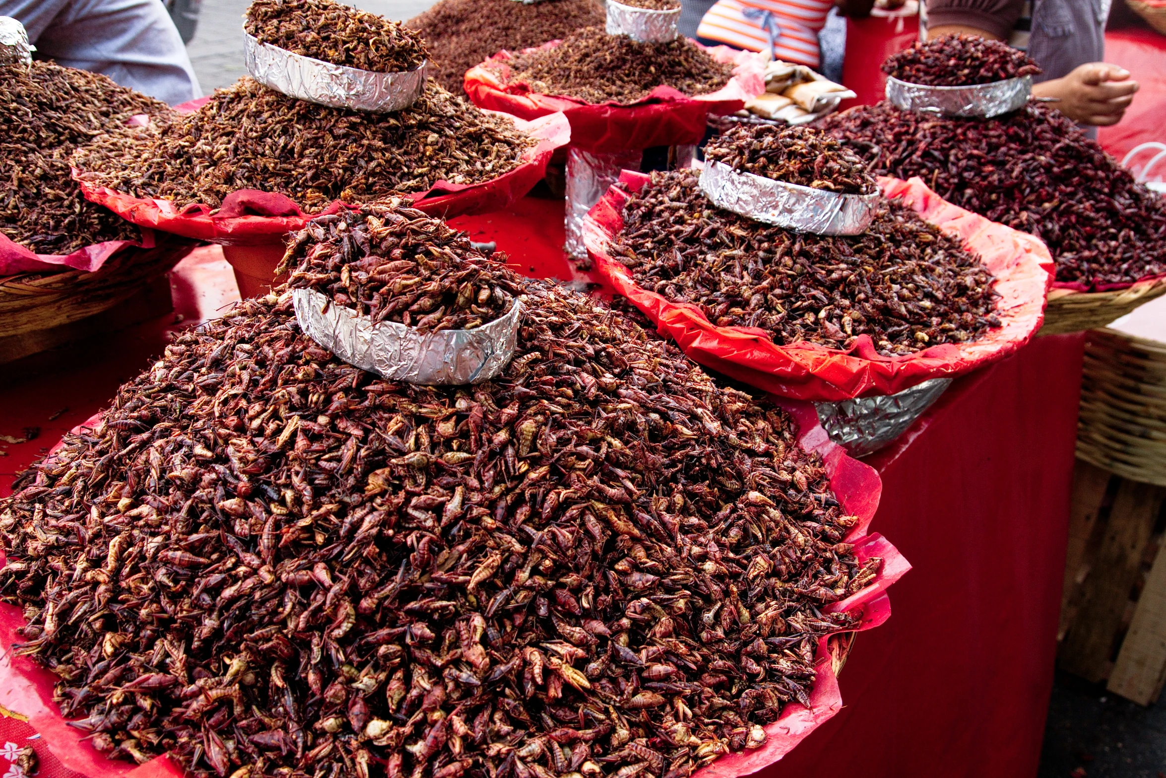 red packets filled with edible insects sit on tables