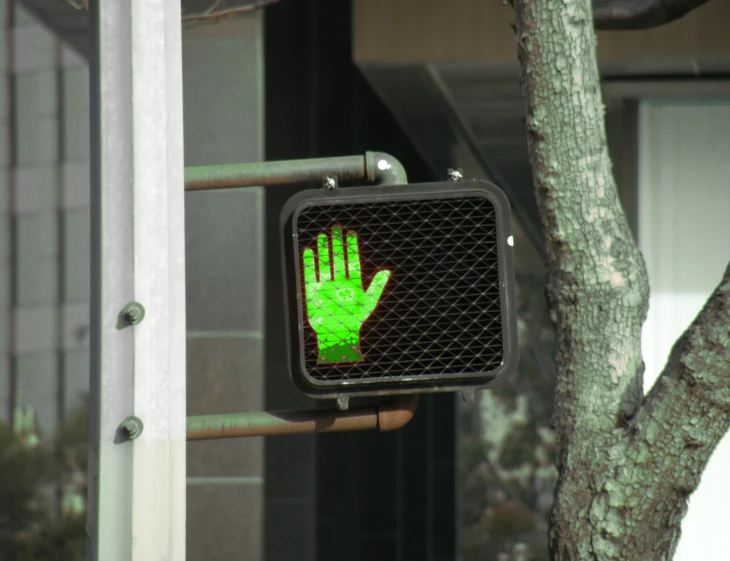 a hand painted green on a sign mounted in a tree