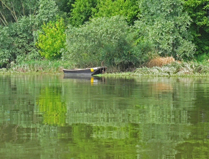 a wooden boat is sitting on the river