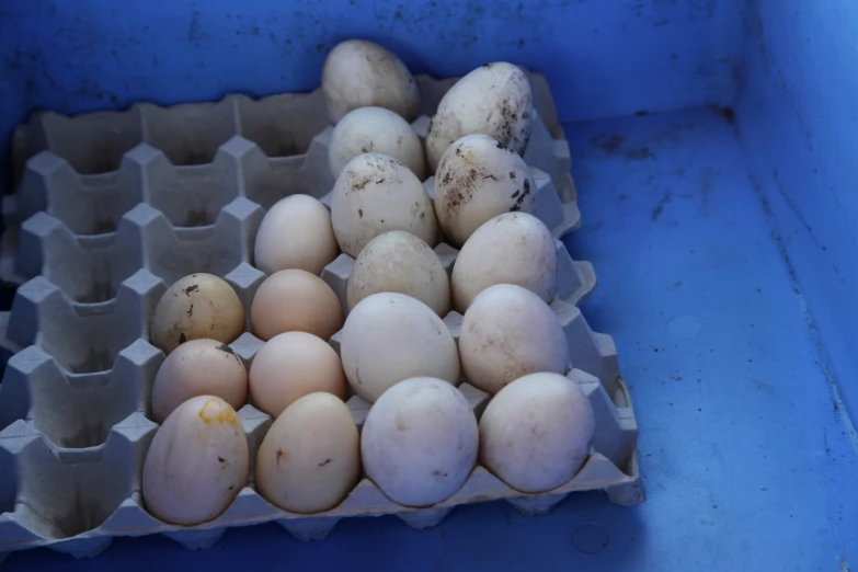 many eggs sitting on top of an egg carton