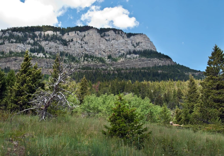 the view from behind a mountain looking at the green grass