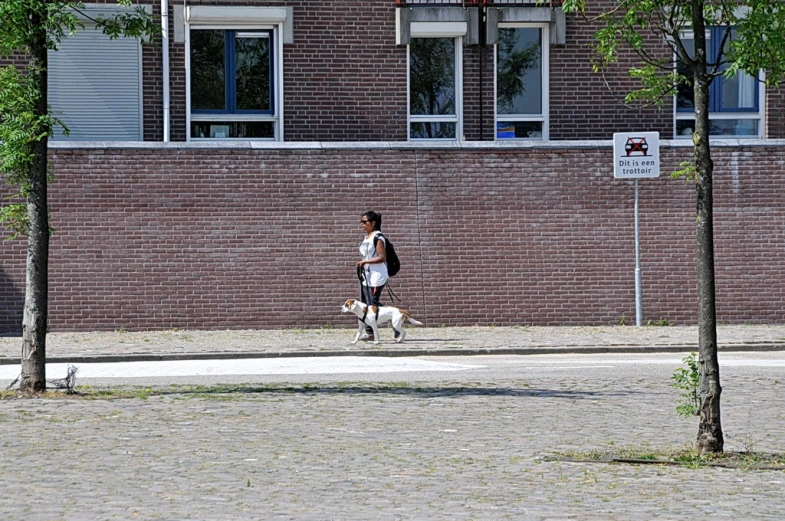 the person is walking their dog near some buildings