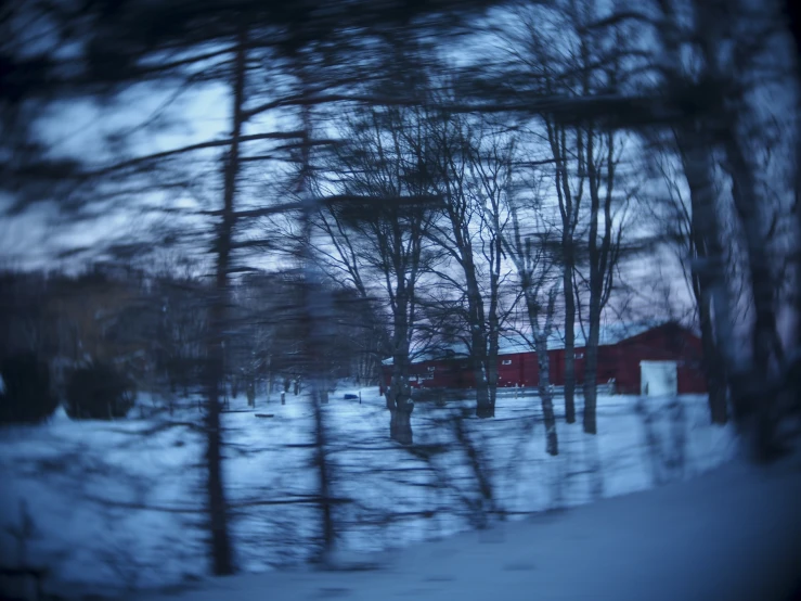 the view of snowy woods and farm buildings from the road