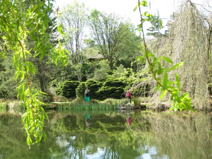 some people sitting on the edge of a pond in a forested area