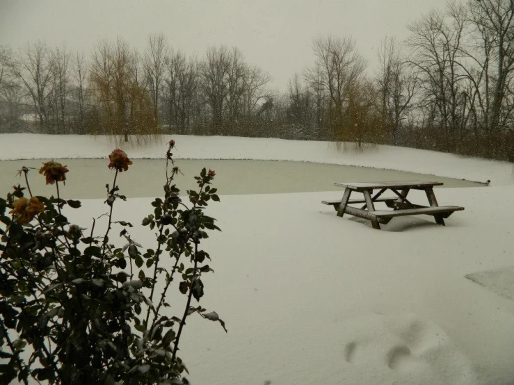 the bench is covered by the snow