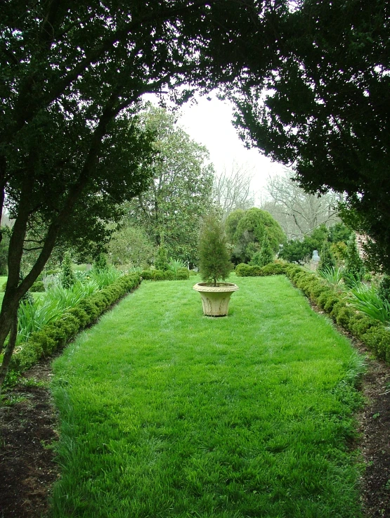 a large yard filled with lush green grass