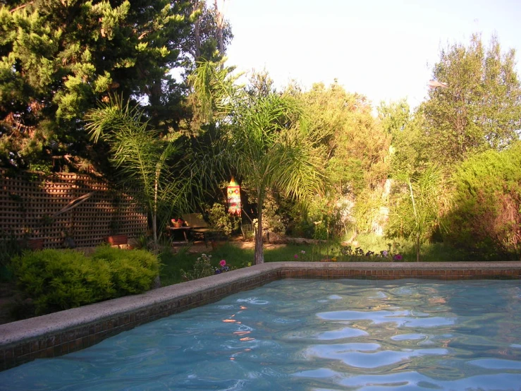 this pool is built in a wooded yard