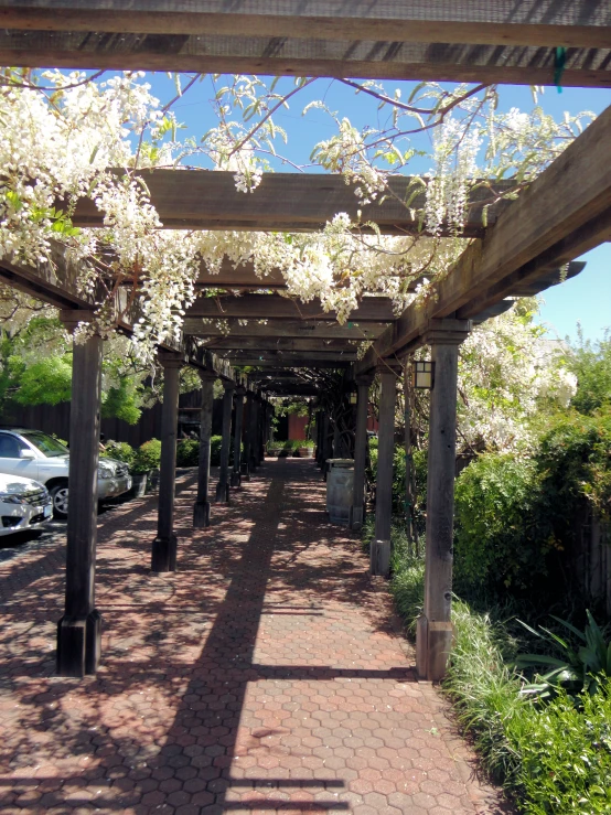 the walkway has many flower trees on either side