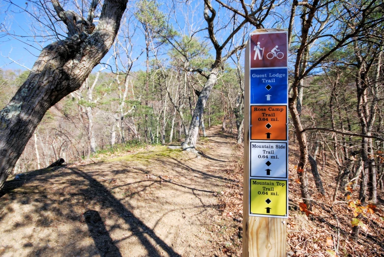 an assortment of colorful signs posted on the side of a hill