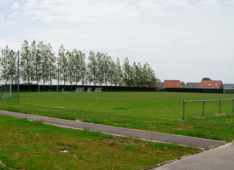 a lush green park has trees next to the road