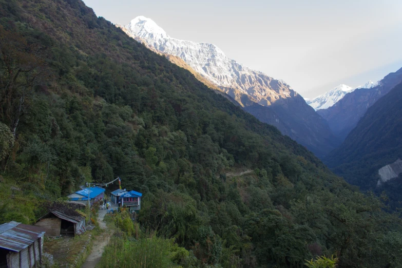 a narrow trail leading to some blue cabins