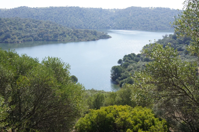 an aerial view of a lake, mountains and woods