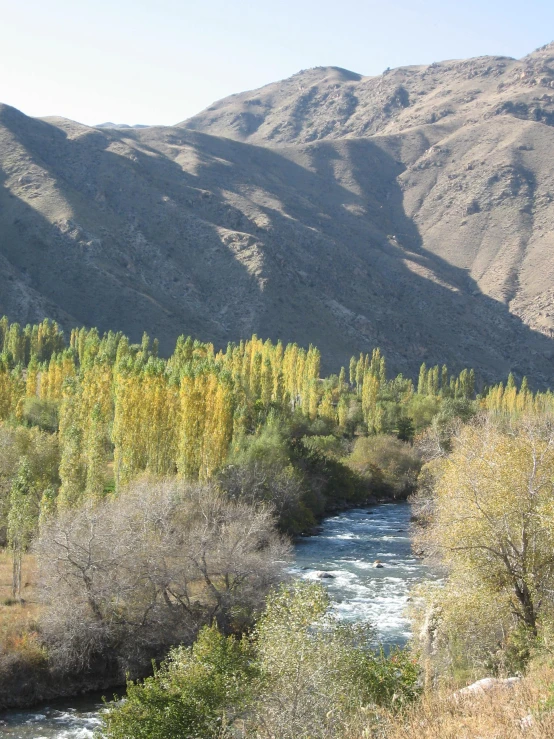 a river in front of a mountain range