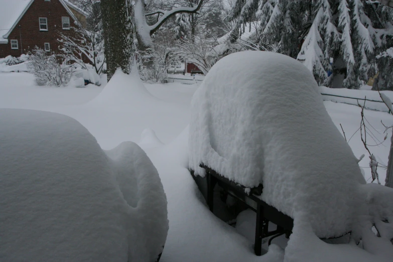 snow covers the car in front of some trees and snow