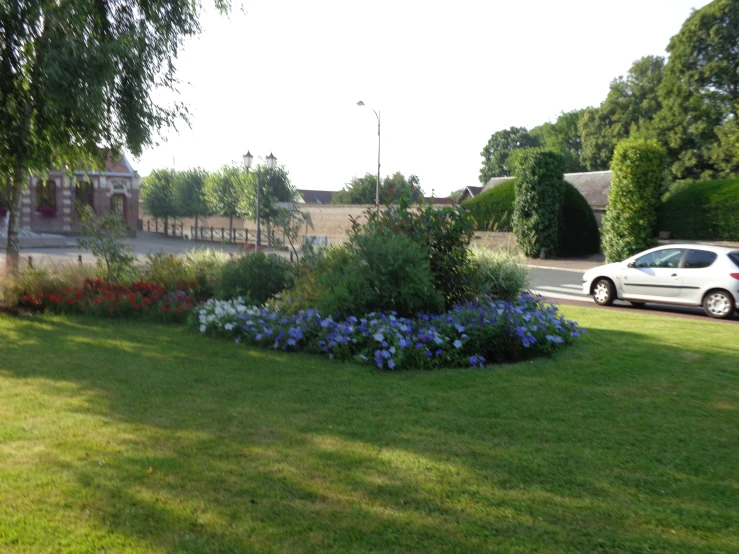 a car is parked in a grassy area