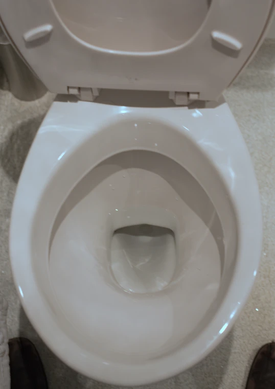 a toilet with white flushing tank with a plunger at the top