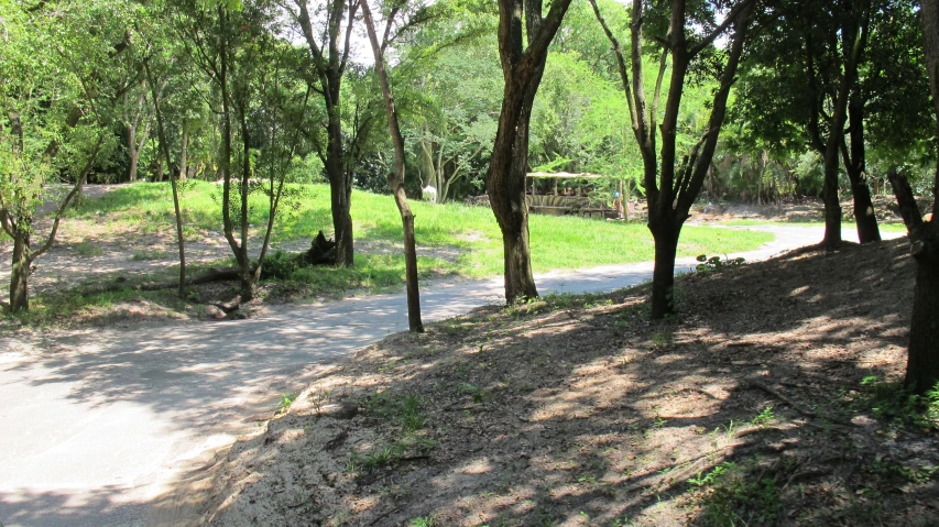 this park is in the midst of several trees