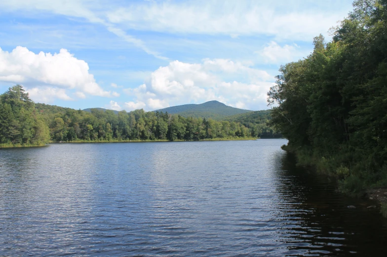 the trees are behind the blue water