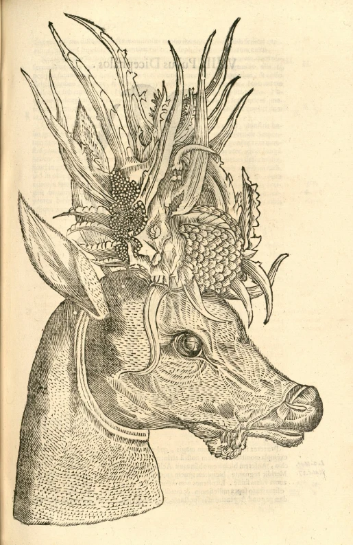 the animal is wearing many decorations on its head