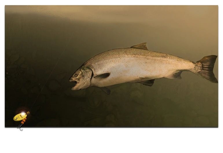 fish in a pond near a hook