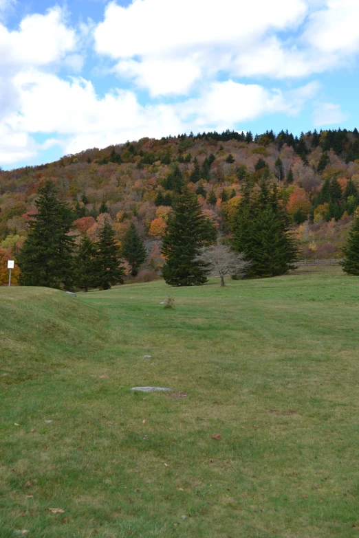 a small white dog running in a field next to a hill