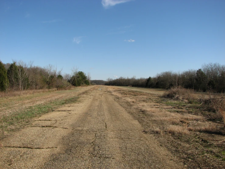 a dirt road going through a lush green field