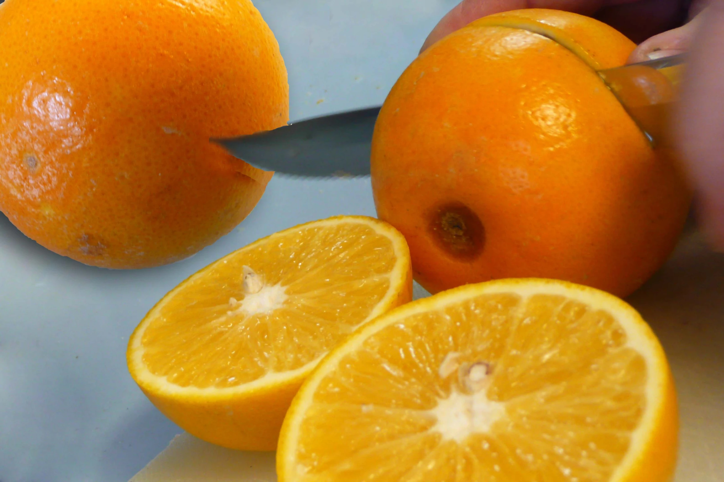 someone  an orange into slices on a  board