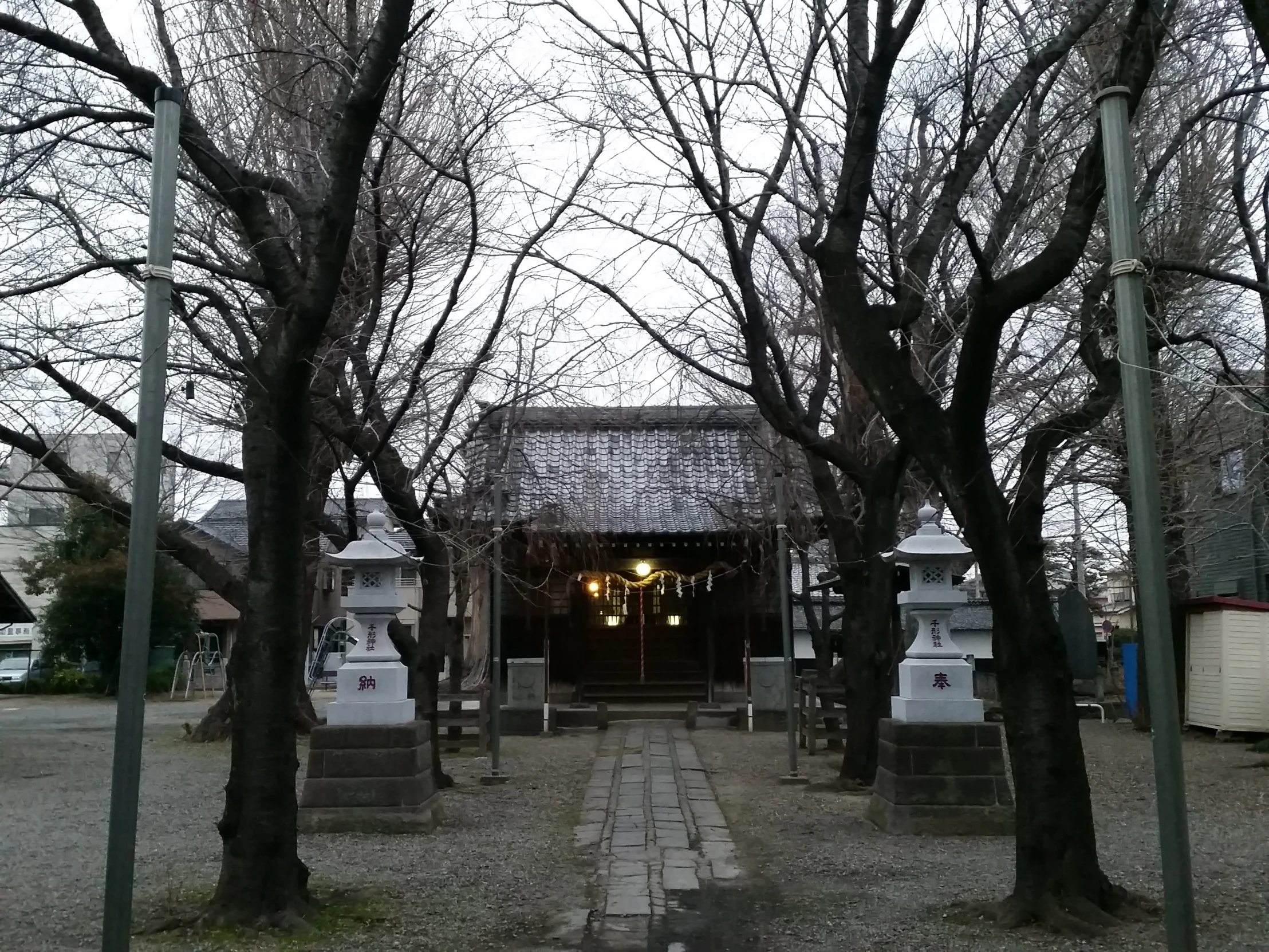 a group of trees and a building in the distance