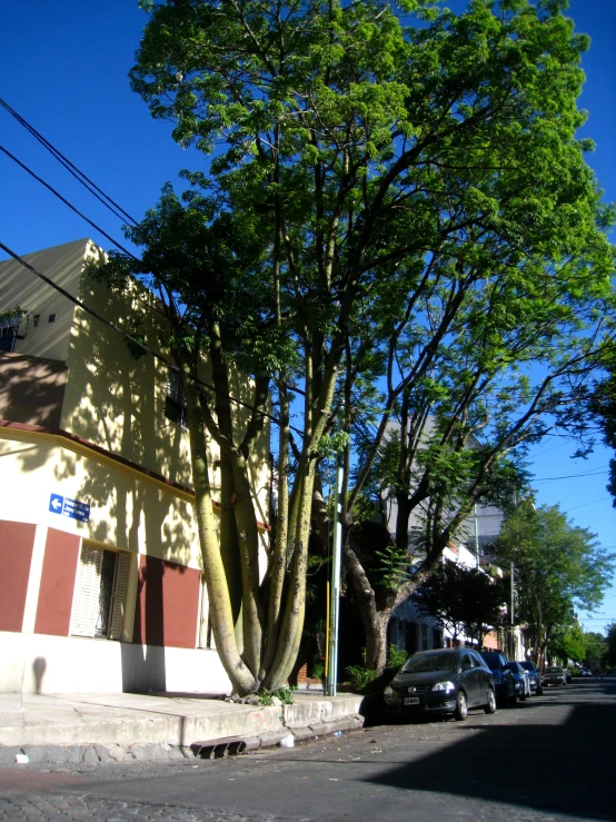 a small town block with cars parked on the side