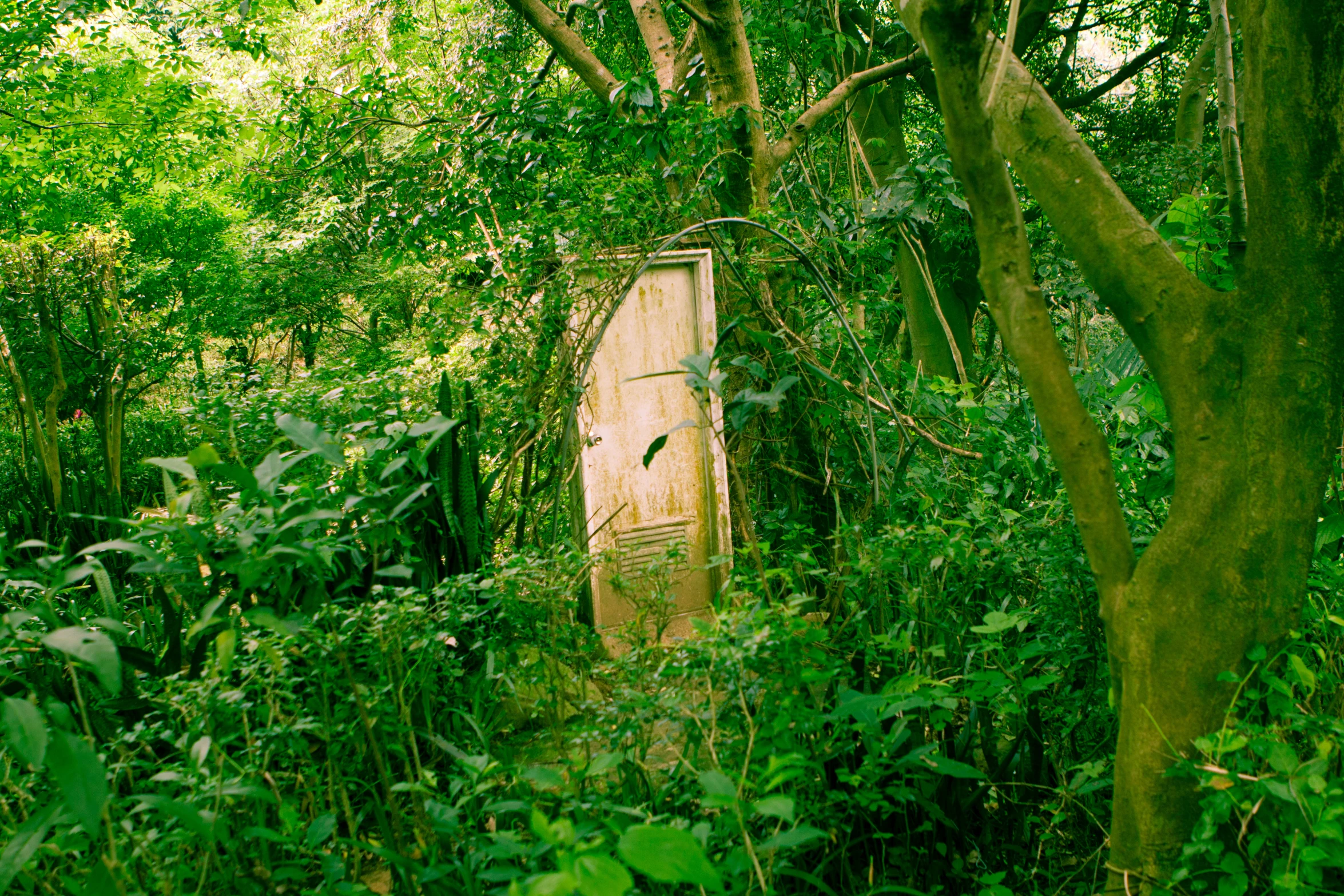 an open door sitting in the middle of a lush green forest