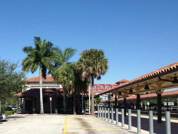 palm trees and buildings along the empty street