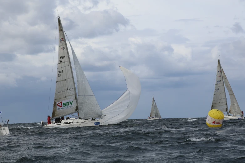 sailboats race together on the open water