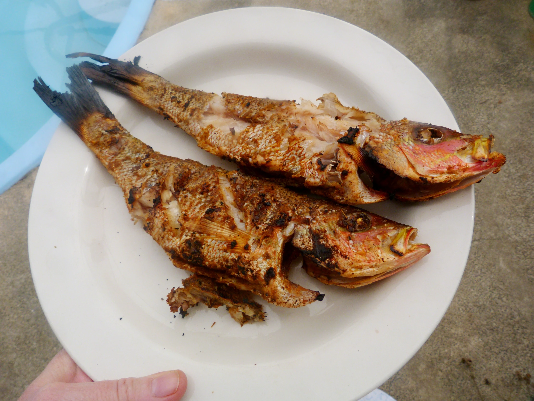 some kind of grilled fish on a plate