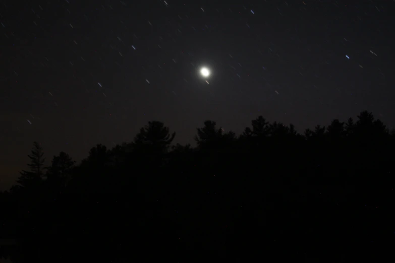 some stars shine above some dark trees at night