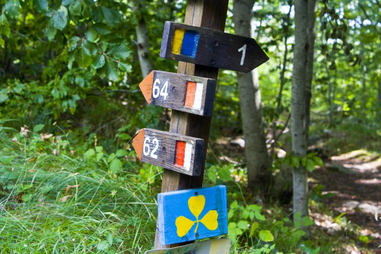 a wooden pole in the forest with signs