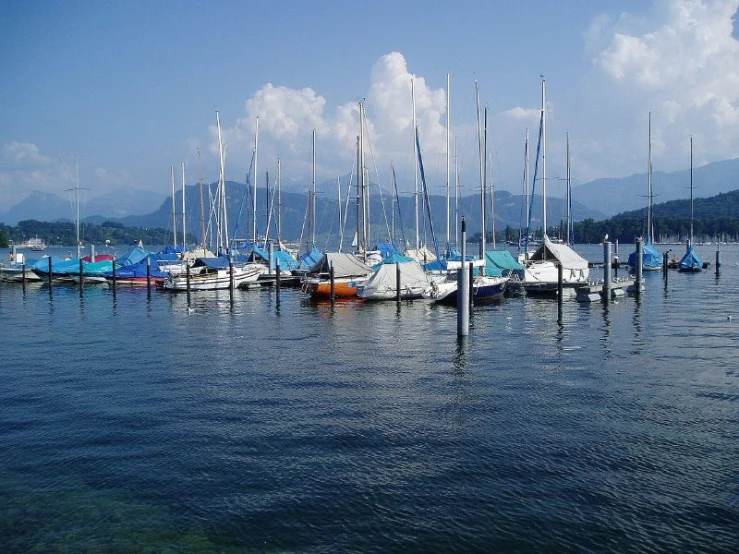 many white and blue boats anchored in the water