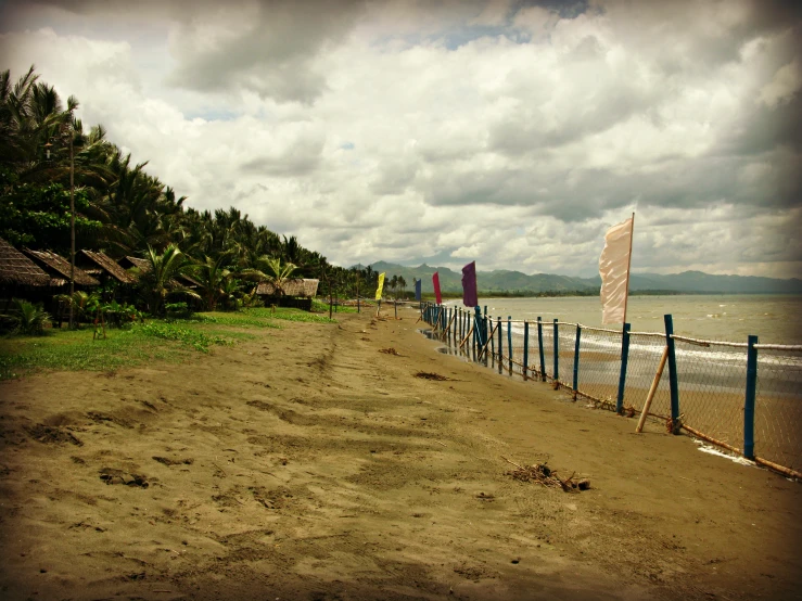 a beach area with water, trees and signs